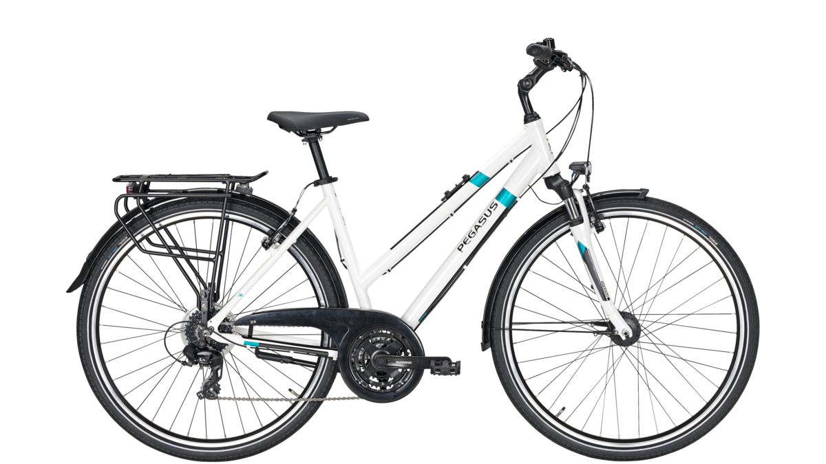Pegasus Solero SL 24 v1 2021 metallic 