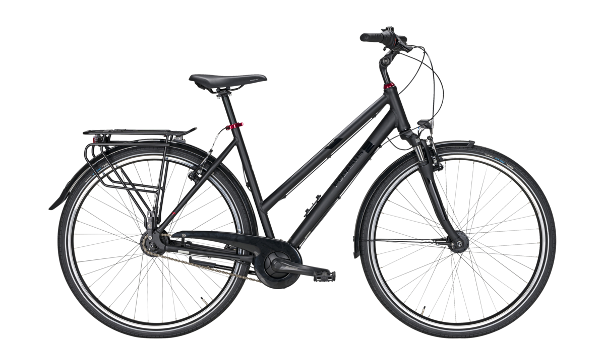 Pegasus Solero SL 8 v1 2021 black matt 